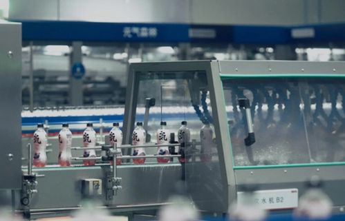 元气森林 鲶鱼失速后的投资管理启示